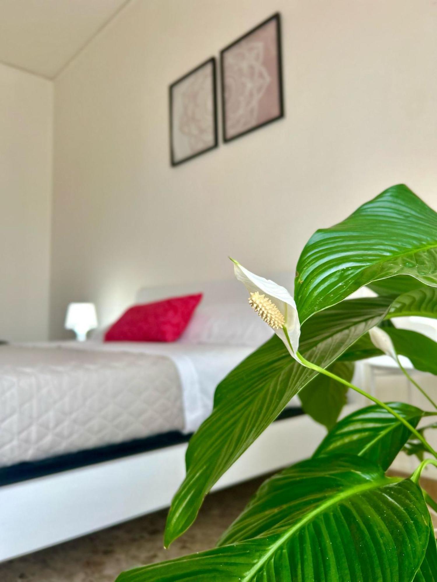 Appartamento Casa Gabry